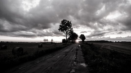 Road nightfall black and white