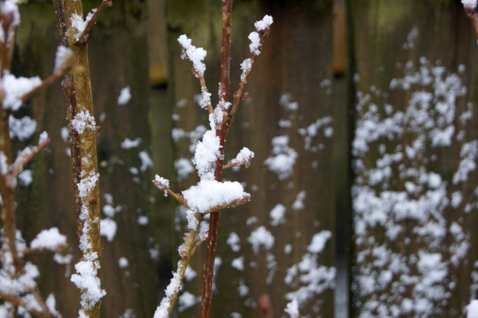 Season winter snow