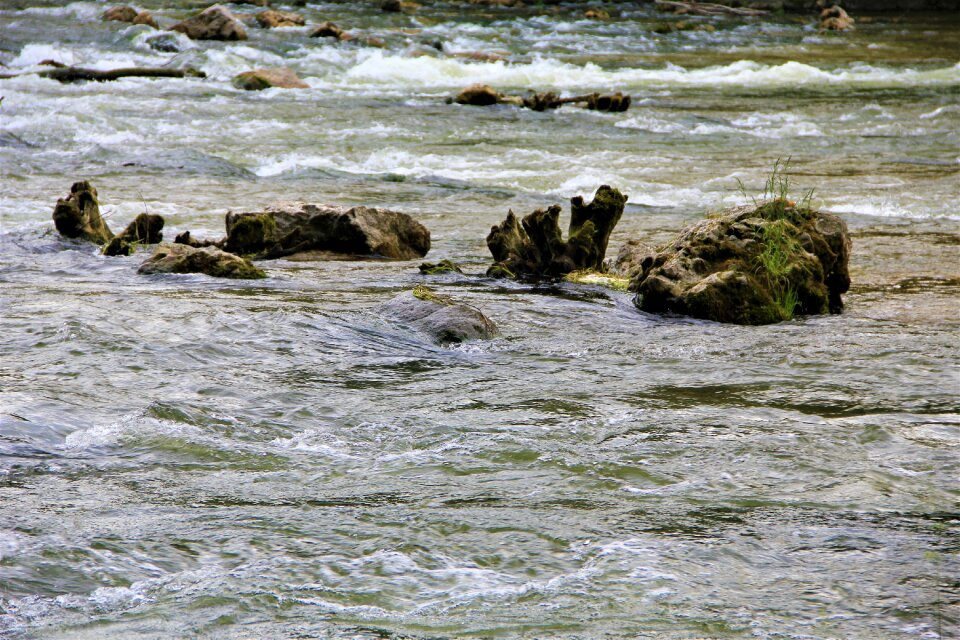 Coast nature river