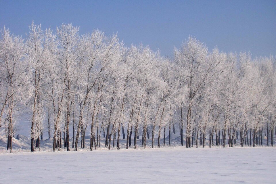 Snow frost cold