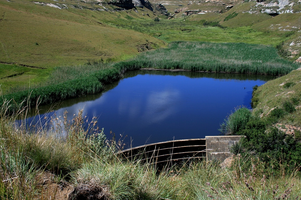 Blue green grass green veld