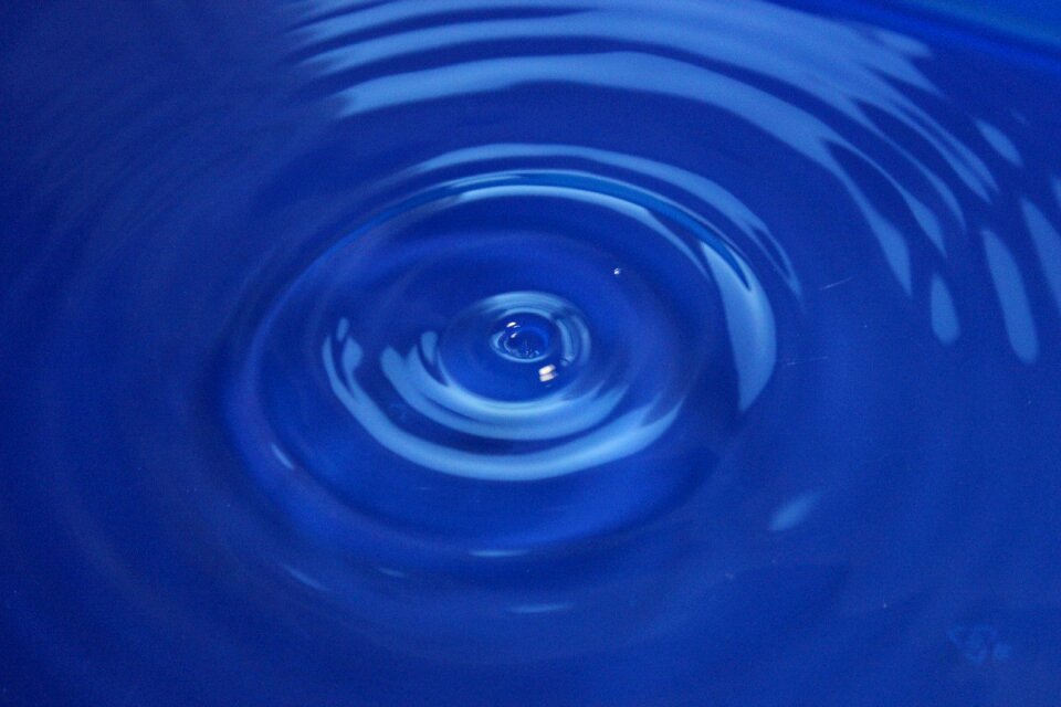Water slightly gopher