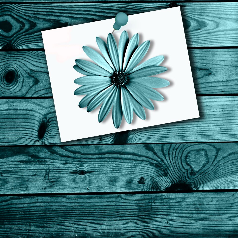Color background design