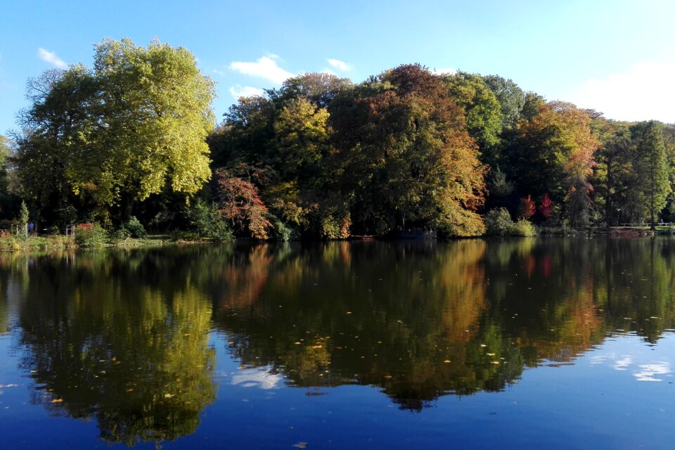 Lake reflection romberg park