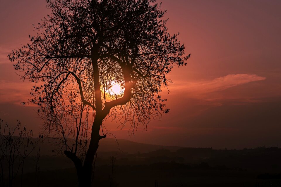 Dawn sunset landscape