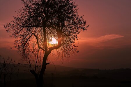 Dawn sunset landscape photo