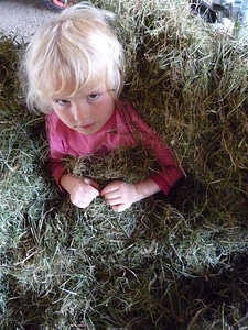 Face blond country life