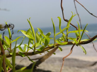 Environment shoots rostock