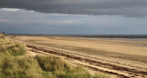 Nature sand outdoor