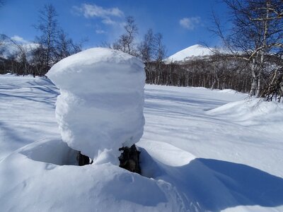 Snow snowdrifts stump photo