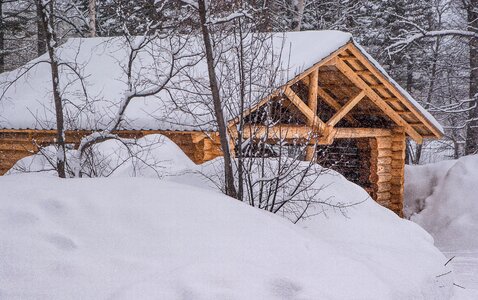 Logs snowfall taiga