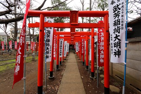 Shrine torii ikebukuro photo