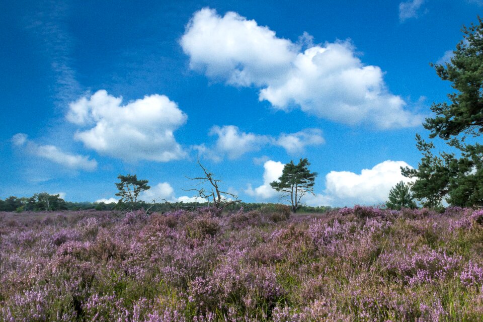 Panoramic clouds heide