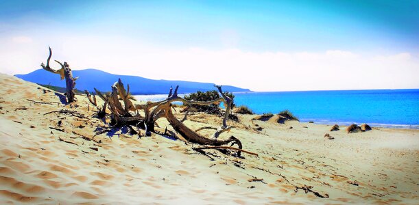 Waters sea sardinia