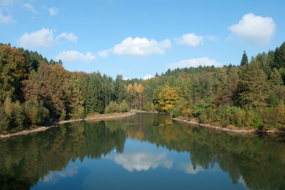 Water lake tree photo