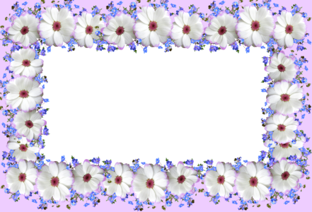 Design greeting card daisies