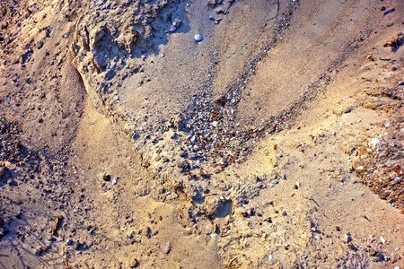 Grain organic material natural