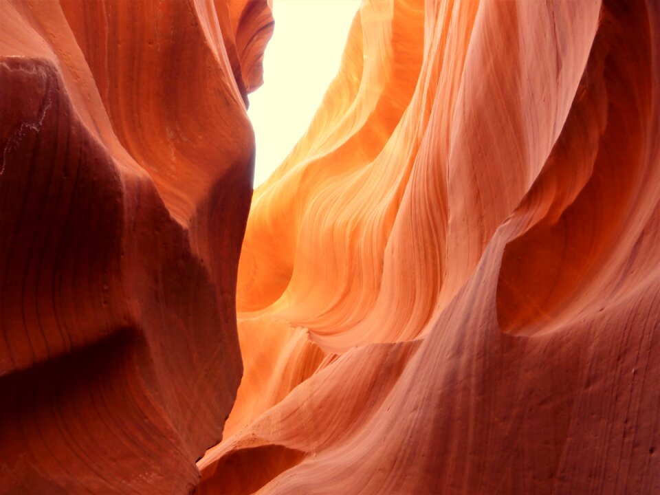 Canyon sandstone antelope