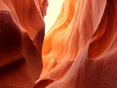 Canyon sandstone antelope photo