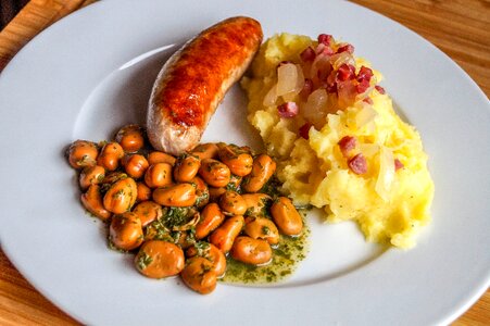Food plate dinner