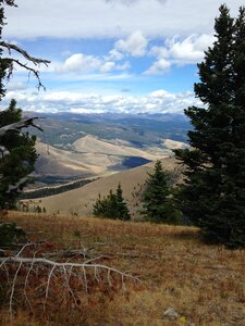 Landscape tree mountain
