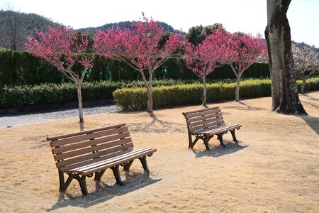 Garden park outdoors