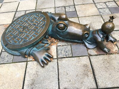 Alligator bankers money