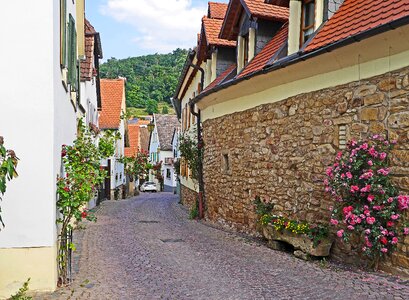 Single-lane alley houses of the winegrowers photo