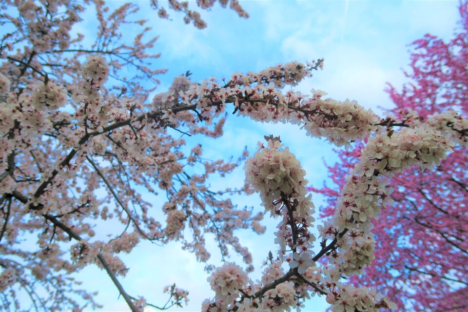 Current season spring nature