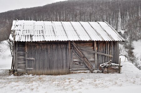 Wood winter