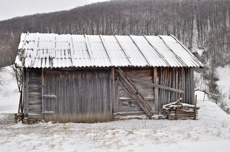 Wood winter photo