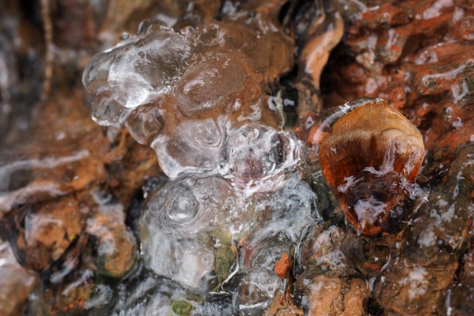 Detail ice winter