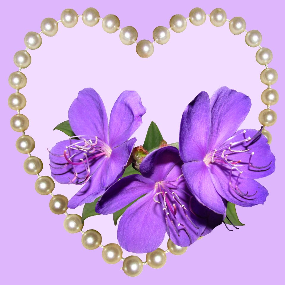Valentine heart pearls