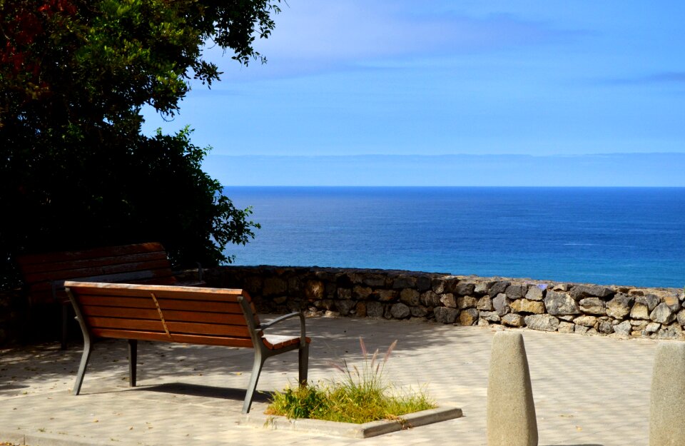 Bench panoramic summer