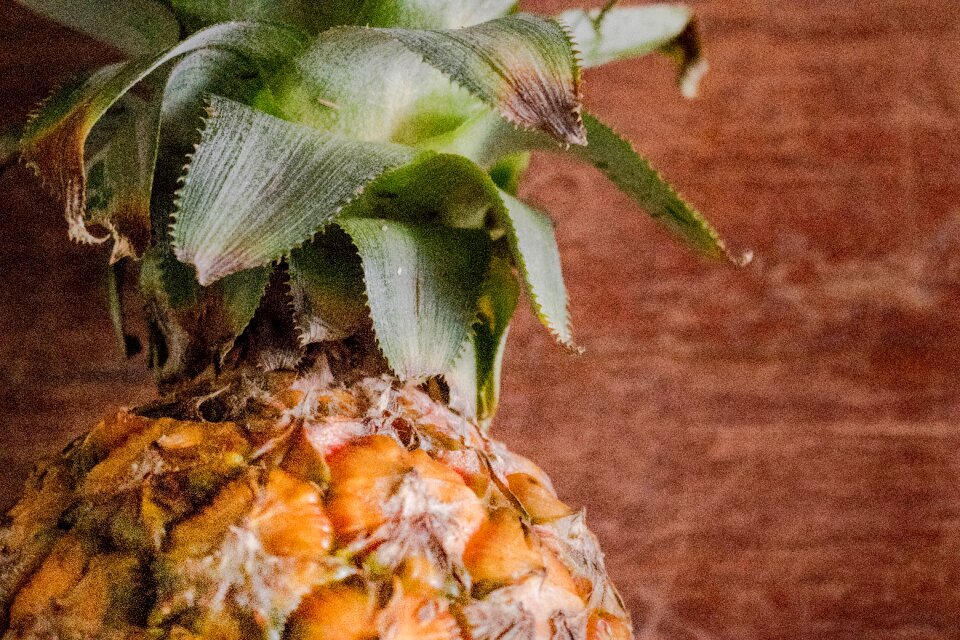 Tropical tropical fruit mature