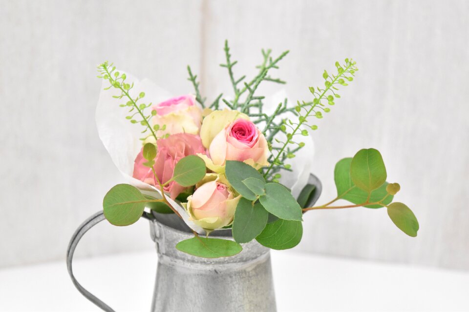 Vase pot cookware eucalyptus
