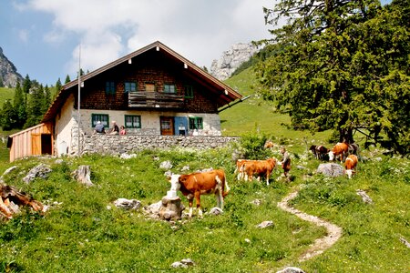 Nature summer agriculture