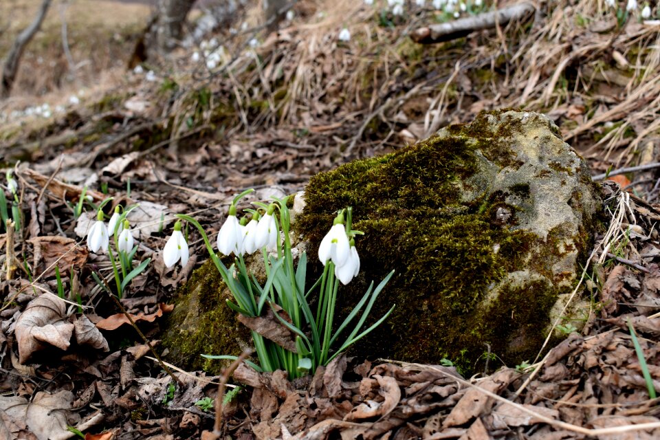 Outdoors spring earth muscles