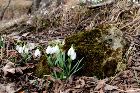 Outdoors spring earth muscles