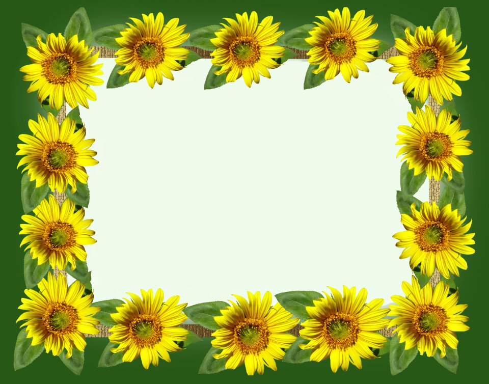 Greeting card cut out isolated