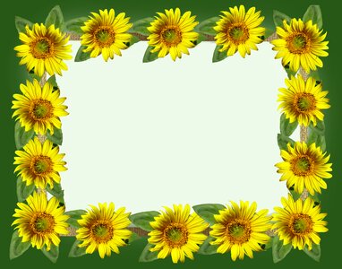 Greeting card cut out isolated