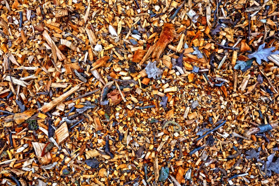 Material shavings organic