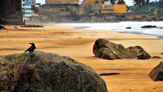 Nature the coast rock