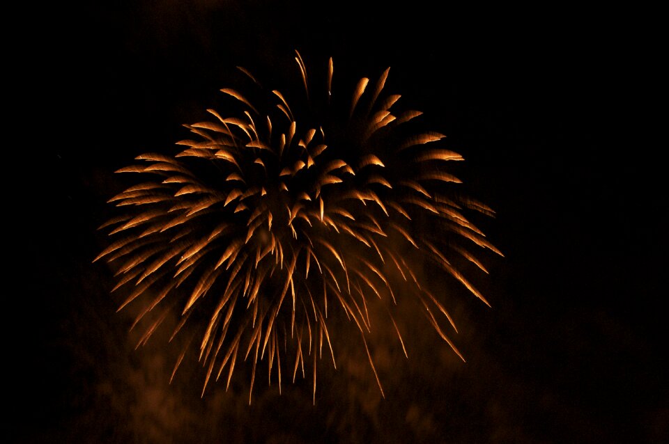 Festival guy fawkes
