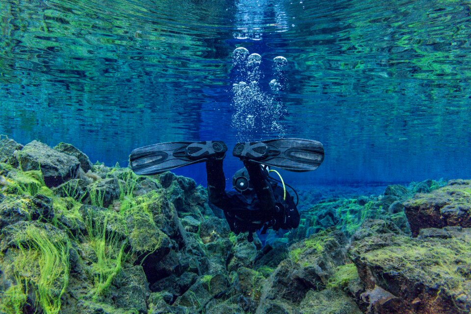 Ocean divers lung travel