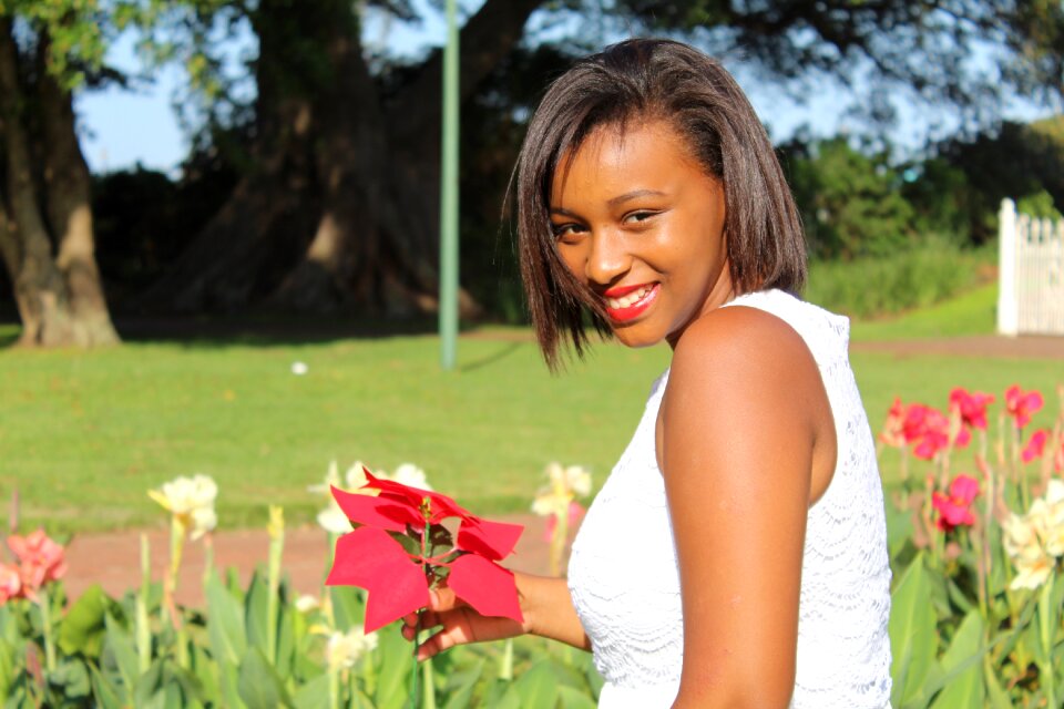 Grass outdoors beautiful