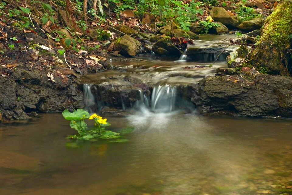 Waterfall at the court of stream