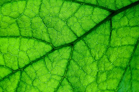 No one nature ecology