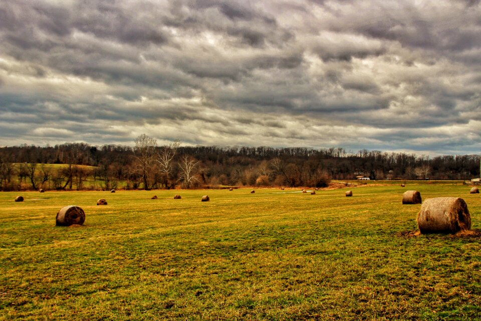 Landscape hay