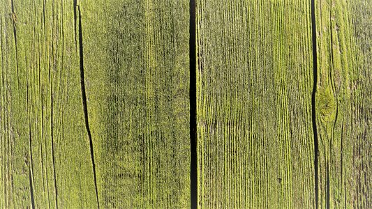 Model texture green